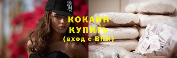 шишки Коряжма
