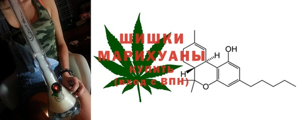 амф Корсаков