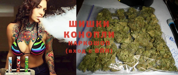 шишки Коряжма