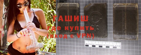 шишки Коряжма