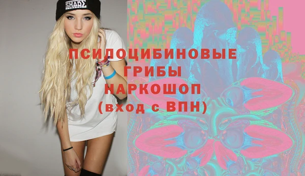 спиды Краснослободск